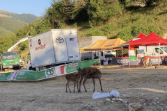 2023.07.29.-Olasz-EB-16-Masolas